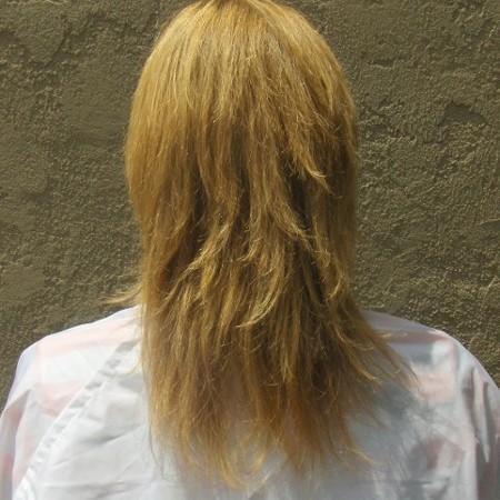 Hair Extensions - Before